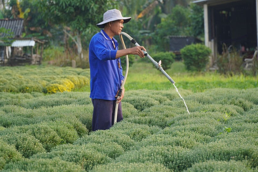 N&ocirc;ng d&acirc;n h&aacute;o hức với lễ hội hoa kiểng. Ảnh: Anh Như