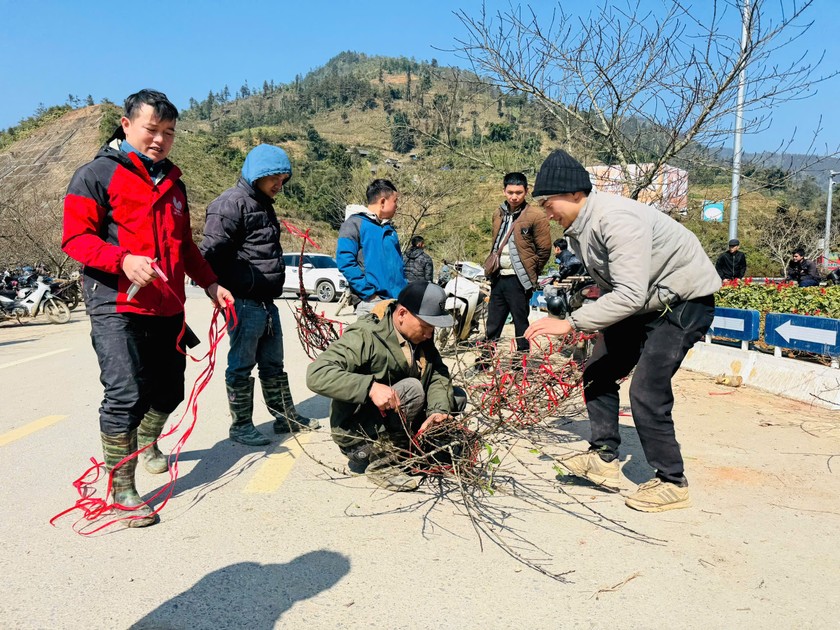 Người d&acirc;n b&oacute; đ&agrave;o cho kh&aacute;ch mua mang về xu&ocirc;i được thuận tiện