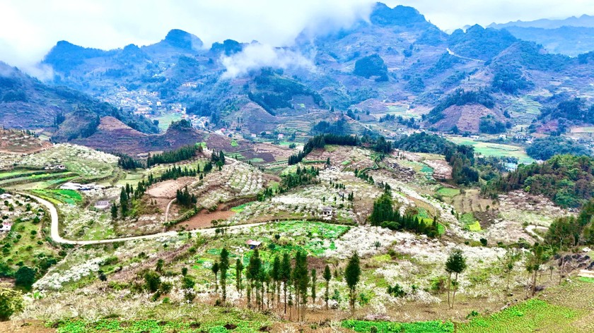 Sắc xuân tinh khôi trên cao nguyên trắng Bắc Hà