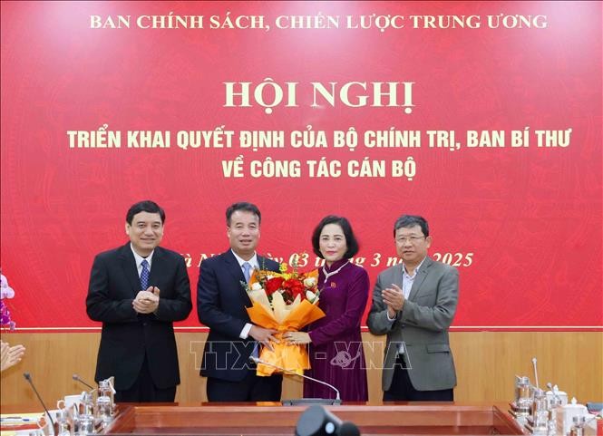 Điều động, bổ nhiệm 3 Phó Trưởng Ban Chính sách, chiến lược Trung ương