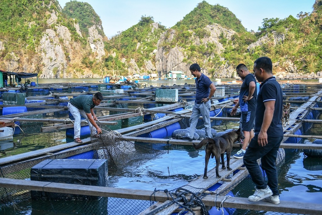 Xót xa về những dự án trăm tỷ bỏ không ở Quảng Ninh