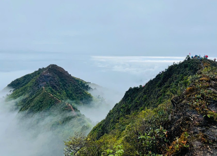 Mãn nhãn trong chuyến 