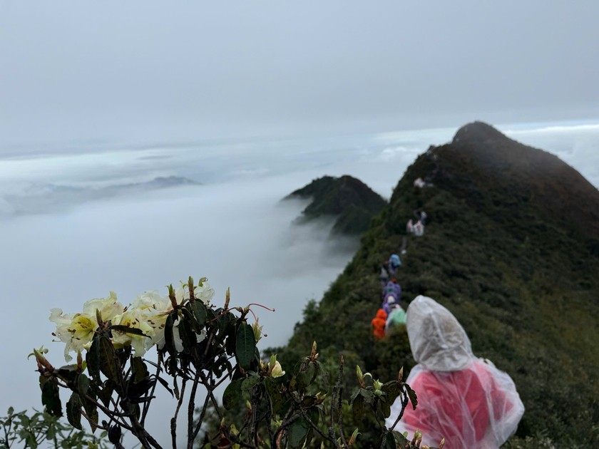 Mãn nhãn trong chuyến 