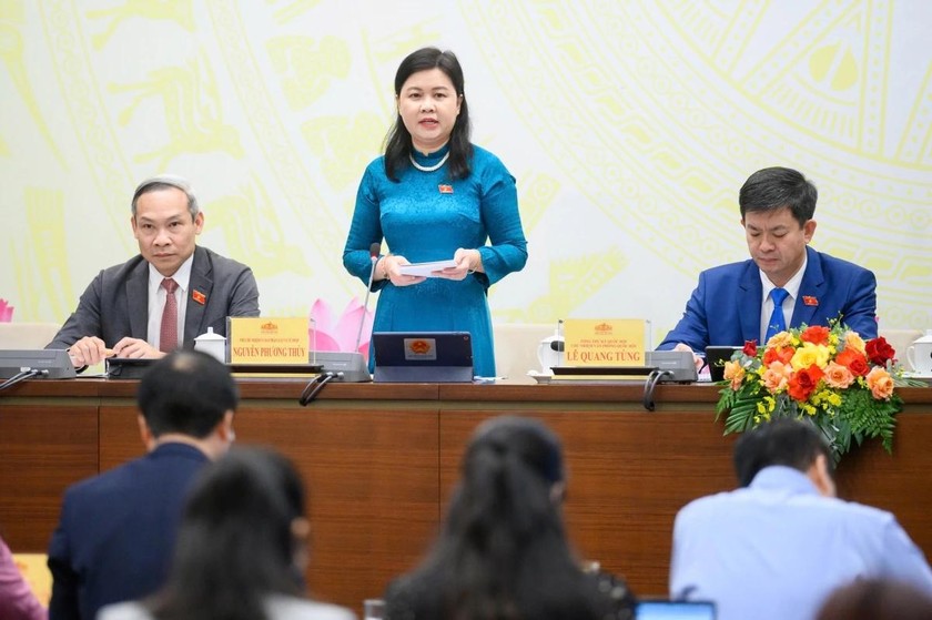 Ph&oacute; Chủ nhiệm Ủy ban Ph&aacute;p luật v&agrave; Tư ph&aacute;p của Quốc hội Nguyễn Phương Thủy trả lời về nội dung sửa đổi, bổ sung Hiến ph&aacute;p năm 2013 được nhiều ph&oacute;ng vi&ecirc;n quan t&acirc;m. (Ảnh: Cổng TTĐTQH)