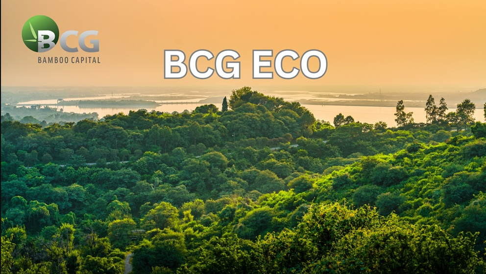 Bamboo Capital bị xử phạt