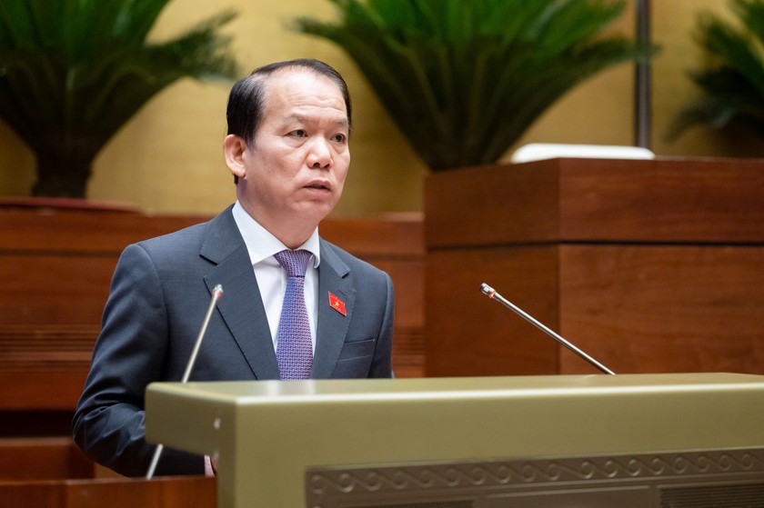 Chủ nhiệm Ủy ban Ph&aacute;p luật v&agrave; Tư ph&aacute;p cHo&agrave;ng Thanh T&ugrave;ng tr&igrave;nh b&agrave;y B&aacute;o c&aacute;o thẩm tra dự &aacute;n Luật. (Ảnh: Cổng TTĐTQH)