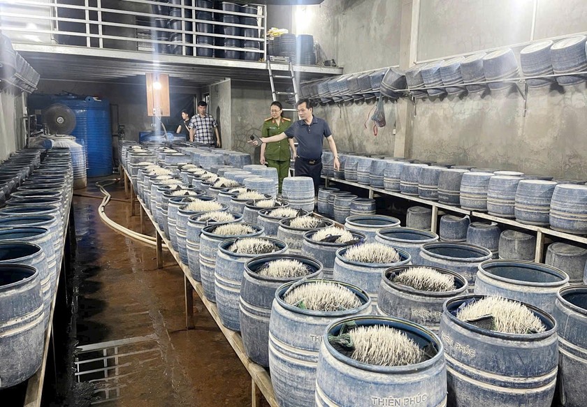 Từ th&aacute;ng 5/2024 đến ng&agrave;y 23/5/2025, cơ sở n&agrave;y đ&atilde; sản xuất v&agrave; đưa ra thị trường ti&ecirc;u thụ tổng cộng khoảng 348 tấn gi&aacute; đỗ c&oacute; sử dụng chất độc hại.