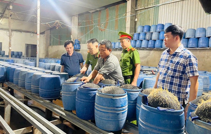 C&aacute;c đối tượng sử dụng dung dịch 6-Benzylaminopurine để ng&acirc;m ủ gi&aacute; đỗ.