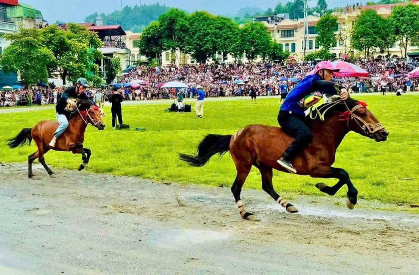 Gần 100 nài ngựa tranh tài Giải đua Vó ngựa Cao nguyên trắng lần thứ 18
