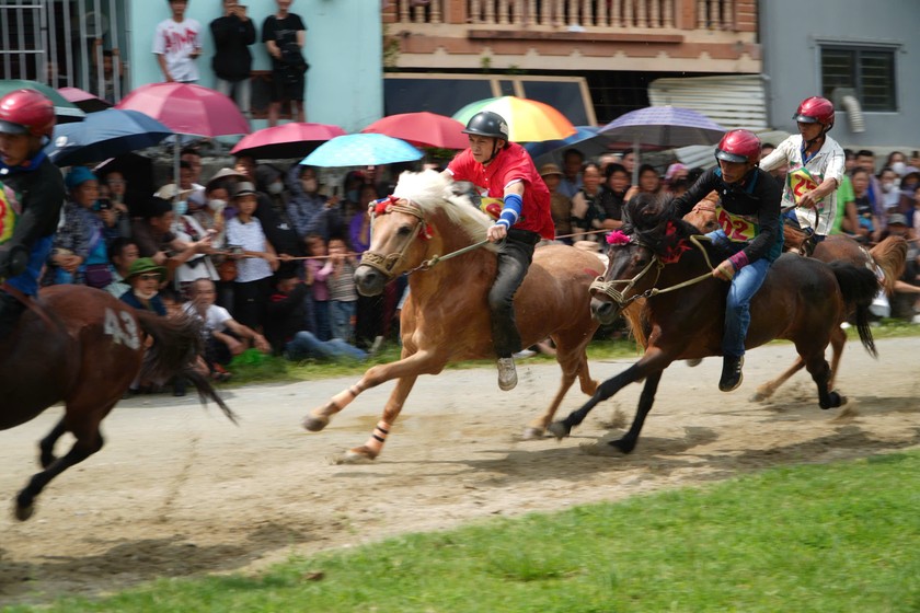 32 n&agrave;i ngựa c&oacute; th&agrave;nh t&iacute;ch thi đấu xuất sắc đ&atilde; được lựa chọn v&agrave;o v&ograve;ng chung kết. Chất lượng m&ugrave;a giải năm nay cao hơn so với c&aacute;c năm trước.