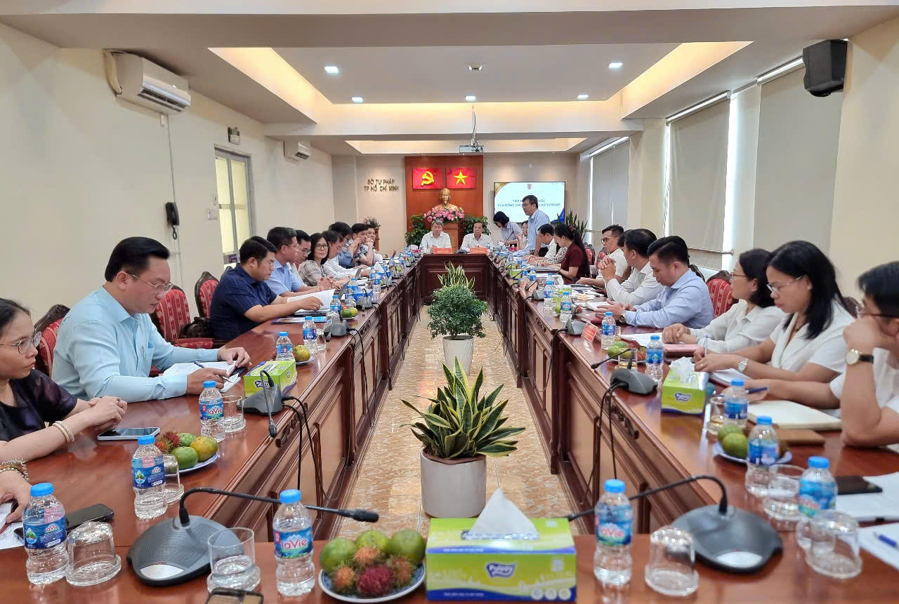 Đại diện Sở Tư ph&aacute;p TPHCM ph&aacute;t biểu &yacute; kiến
