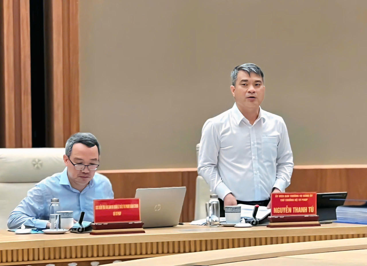 Thứ trưởng Bộ Tư ph&aacute;p Nguyễn Thanh T&uacute; ph&aacute;t biểu