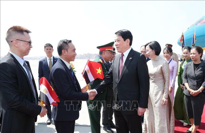 Đại biểu đ&oacute;n Chủ tịch nước Lương Cường v&agrave; Phu nh&acirc;n tại s&acirc;n bay quốc tế Cairo, Ai Cập. Ảnh: L&acirc;m Kh&aacute;nh/TTXVN