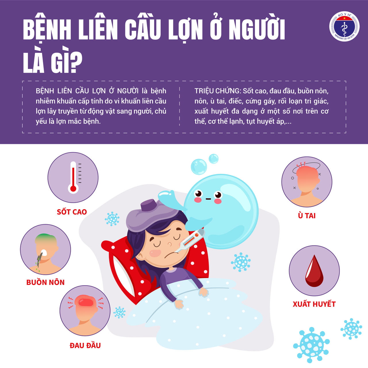 Bệnh li&ecirc;n cầu lợn c&oacute; thể l&acirc;y cho người v&agrave; được xếp v&agrave;o nh&oacute;m c&aacute;c bệnh chung của người v&agrave; động vật.