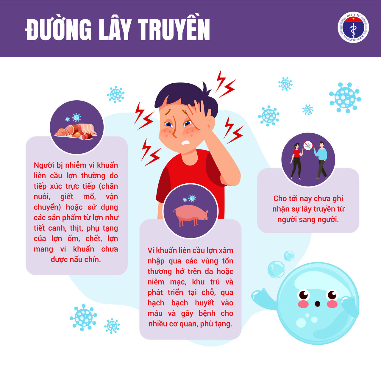 Bệnh li&ecirc;n cầu lợn ở người c&oacute; 2 đường l&acirc;y truyền ch&iacute;nh v&agrave; chưa ghi nhận sự l&acirc;y truyền từ người sang người.