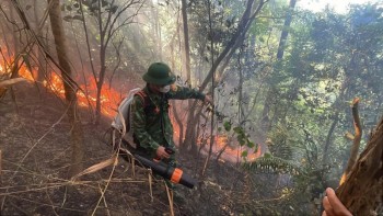 Cháy rừng phòng hộ tại Đèo Ngang, thiêu rụi khoảng 2.500m2