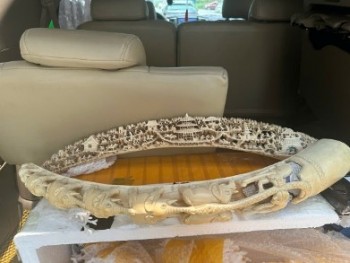 Công an Hà Nội bắt giữ một đối tượng mua bán ngà voi