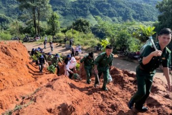 Hành trình “vá áo” cho những cánh rừng Tây Bắc