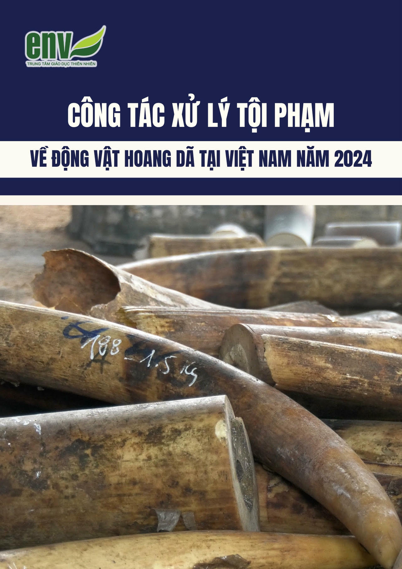Ảnh trong b&agrave;i: ENV