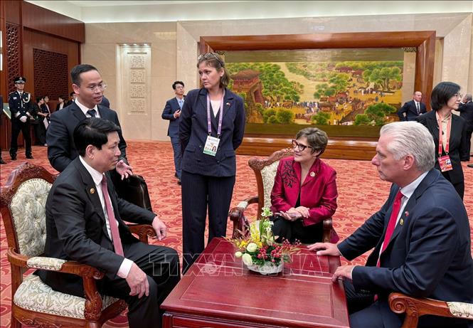 Chủ tịch nước Lương Cường gặp B&iacute; thư Thứ nhất, Chủ tịch nước Cuba Miguel Diaz-Canel Bermudez. Ảnh: TTXVN ph&aacute;t