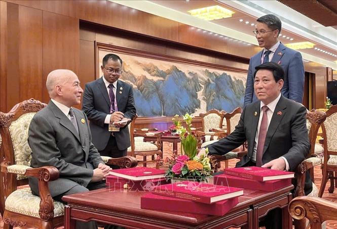 Chủ tịch nước Lương Cường gặp Quốc vương Campuchia Norodom Sihamoni. Ảnh: TTXVN ph&aacute;t
