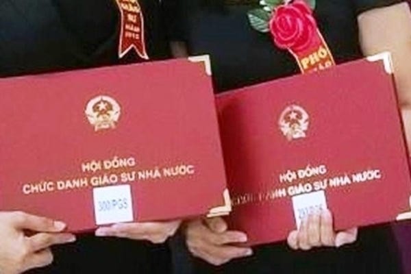 315 ứng viên nữ được đề nghị xét công nhận đạt tiêu chuẩn chức danh  Giáo sư, Phó Giáo sư năm 2025