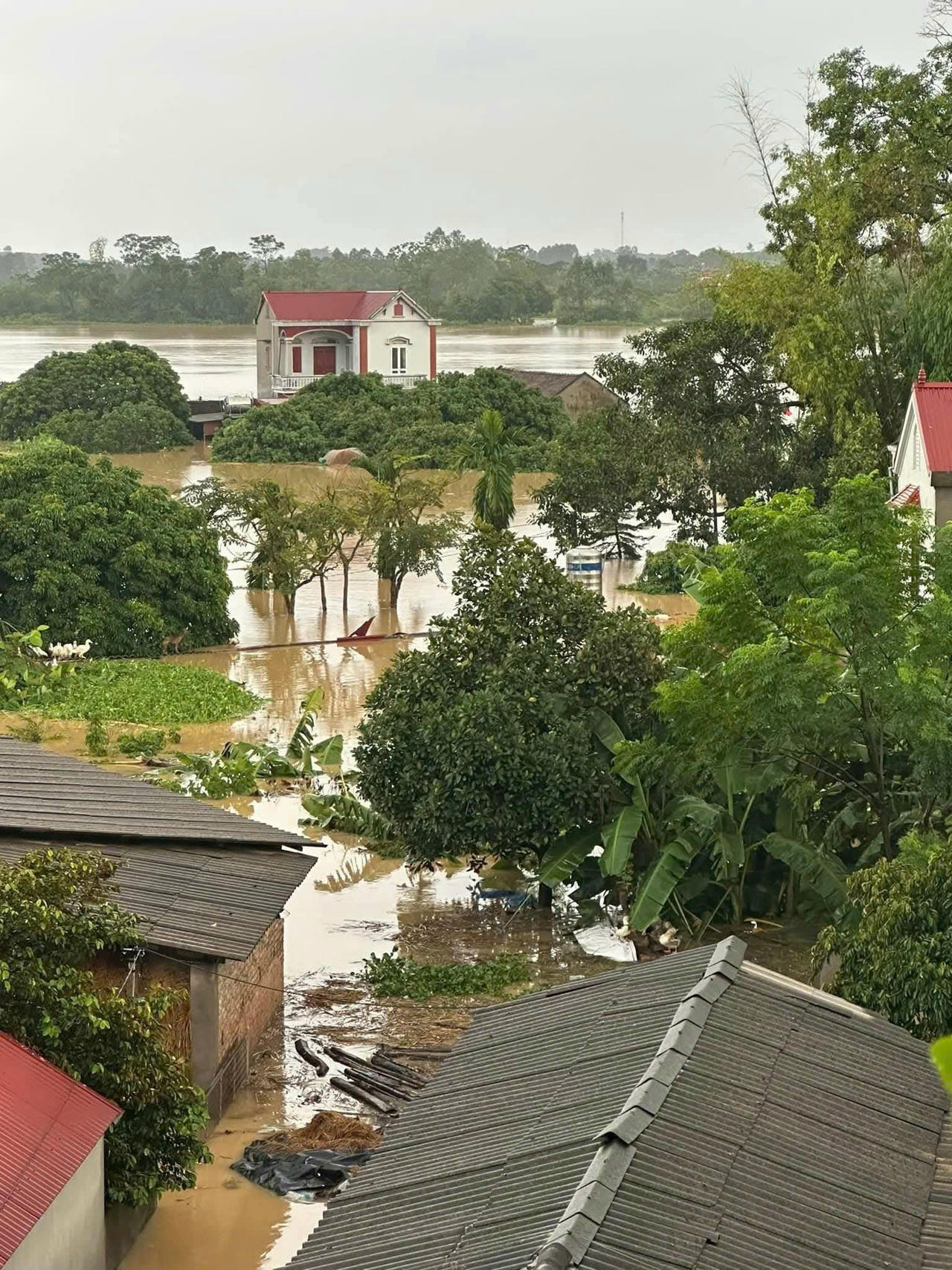 Nước tr&agrave;n đ&ecirc; bối ở Bắc Ninh, h&agrave;ng trăm hộ d&acirc;n phải di dời khẩn cấp trong đ&ecirc;m