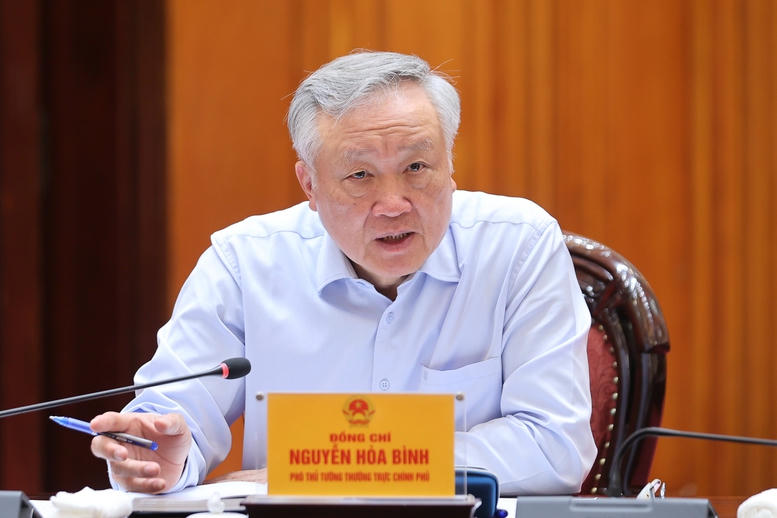 Ph&oacute; Thủ tướng Thường trực Ch&iacute;nh phủ Nguyễn H&ograve;a B&igrave;nh ph&aacute;t biểu tại phi&ecirc;n họp - Ảnh: VGP/Nhật Bắc