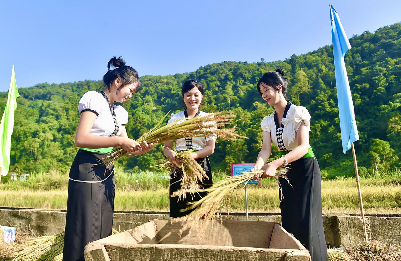 Lễ hội kh&ocirc;ng chỉ l&agrave; nghi lễ n&ocirc;ng nghiệp truyền thống quan trọng của người Th&aacute;i trắng m&agrave; c&ograve;n g&oacute;p phần g&igrave;n giữ, ph&aacute;t huy bản sắc văn h&oacute;a d&acirc;n tộc gắn với ph&aacute;t triển du lịch v&ugrave;ng cao Lai Ch&acirc;u.