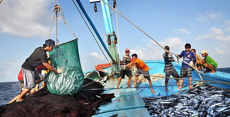 Thủ tướng chỉ đạo tập trung thực hiện th&aacute;ng cao điểm chống khai th&aacute;c IUU.