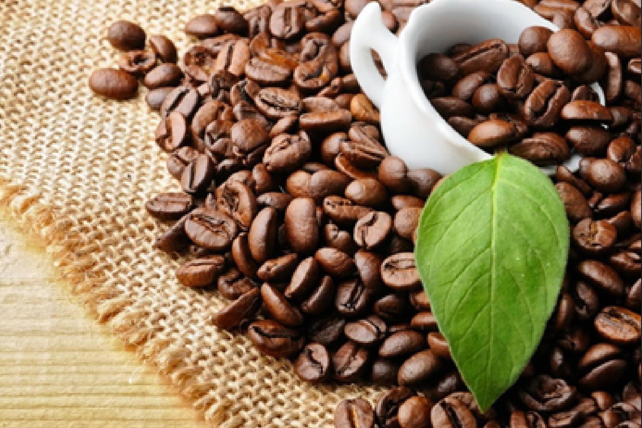 C&agrave; ph&ecirc; Việt cần chuyển mạnh sang chế biến để đ&oacute;n cơ hội thị trường mới.  (Ảnh minh họa: ITN)