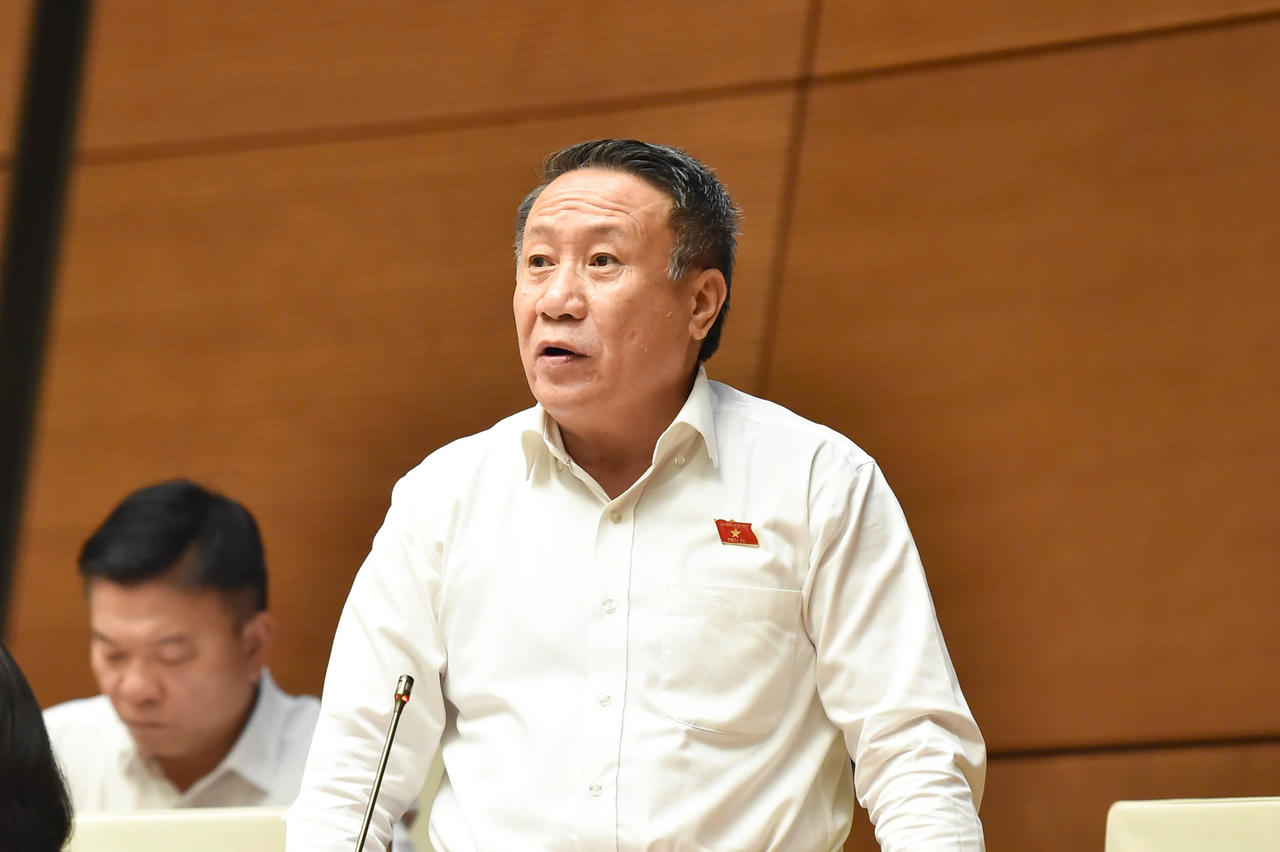 Đại biểu H&agrave; Sỹ Đồng.