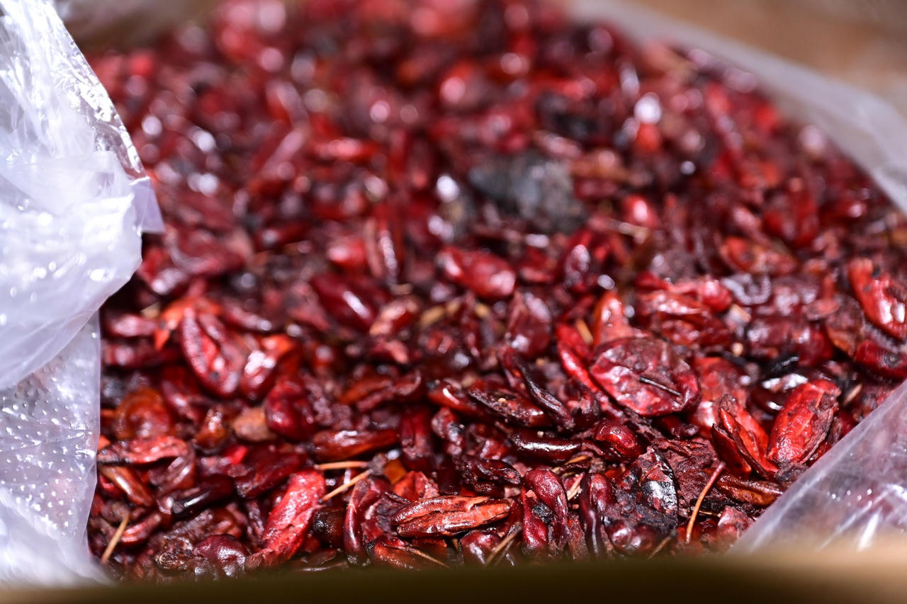 Tang vật được thu giữ (Ảnh: CATP Hải Ph&ograve;ng)