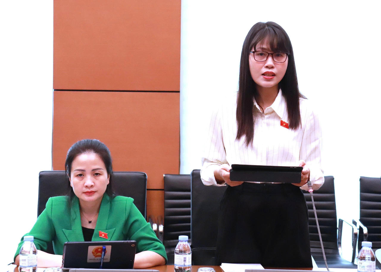 Đại biểu Trần Thị Quỳnh ph&aacute;t biểu tại phi&ecirc;n họp.
