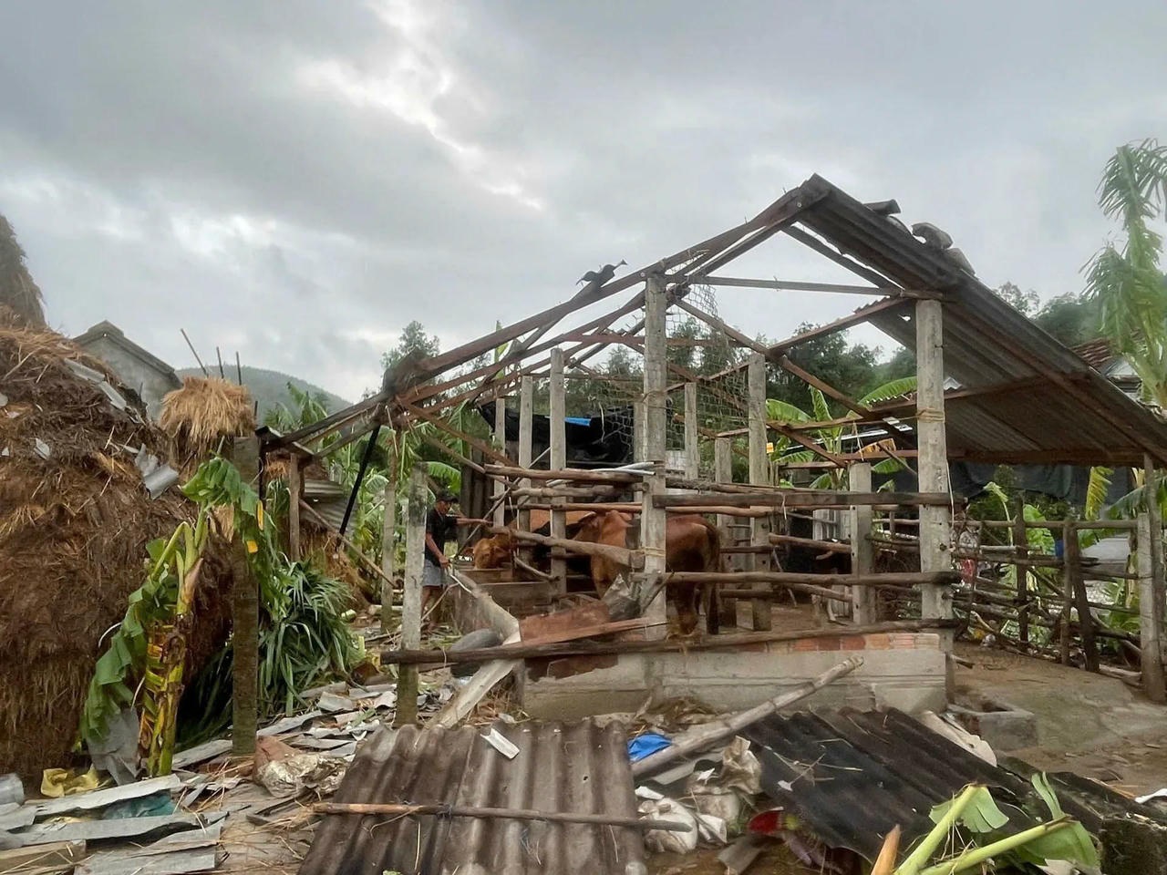 Trận lốc xo&aacute;y bất ngờ qu&eacute;t qua x&atilde; Nguyễn Nghi&ecirc;m v&agrave;o rạng s&aacute;ng 17/11 g&acirc;y thiệt hại nặng cho b&agrave; con địa phương.&amp;amp;nbsp;