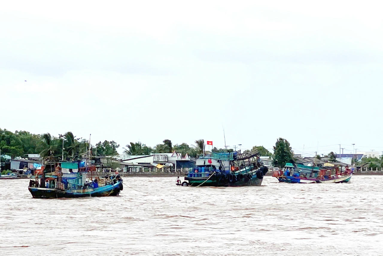 Lai dắt t&agrave;u c&aacute; gặp nạn v&agrave;o bờ an to&agrave;n.