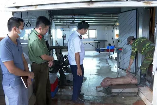 C&aacute;c đơn vị chức năng kiểm tra lấy mẫu x&eacute;t nghiệm lợn nghi nhiễm tả lợn ch&acirc;u Phi.