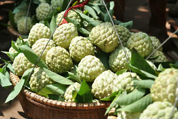 Quả na - Một thương hiệu n&ocirc;ng sản nổi tiếng ở Lạng Sơn.