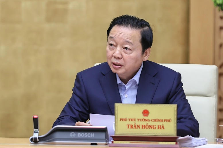 Ph&oacute; Thủ tướng Trần Hồng H&agrave; ph&aacute;t biểu - Ảnh: VGP/Nhật Bắc