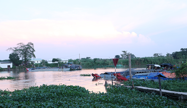 Hiện vụ việc được b&agrave;n giao cho C&ocirc;ng an x&atilde; B&igrave;nh Ho&agrave; tiếp tục điều tra, x&aacute;c minh, xử l&yacute; theo thẩm quyền.