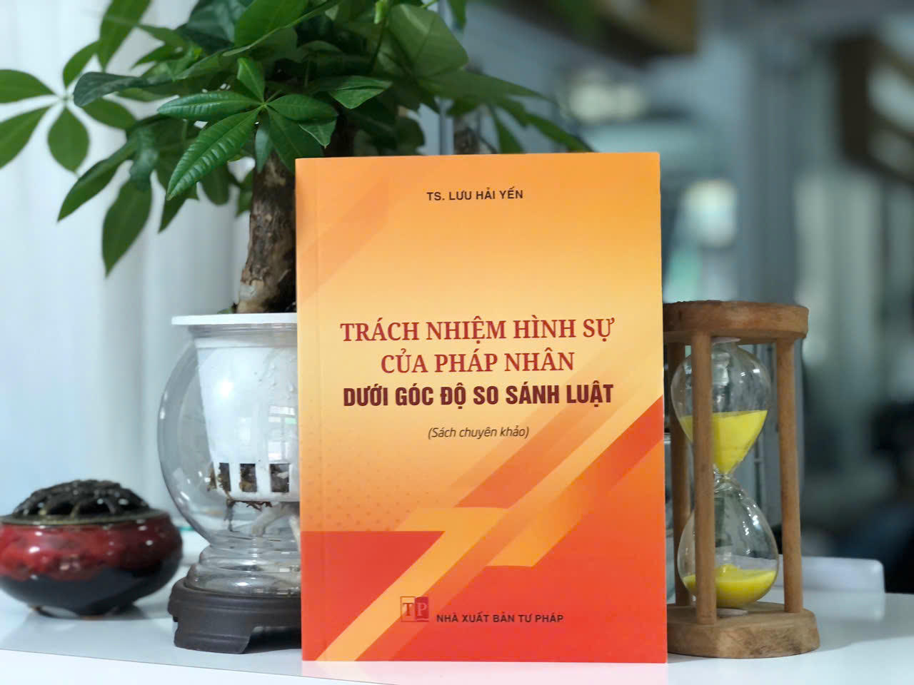 Cuốn s&aacute;ch l&agrave; t&agrave;i liệu tham khảo hữu &iacute;ch cho c&aacute;c nh&agrave; nghi&ecirc;n cứu, giảng vi&ecirc;n, sinh vi&ecirc;n luật, c&aacute;n bộ tiến h&agrave;nh tố tụng v&agrave; những người l&agrave;m c&ocirc;ng t&aacute;c x&acirc;y dựng, &aacute;p dụng ph&aacute;p luật h&igrave;nh sự trong giai đoạn hiện nay.