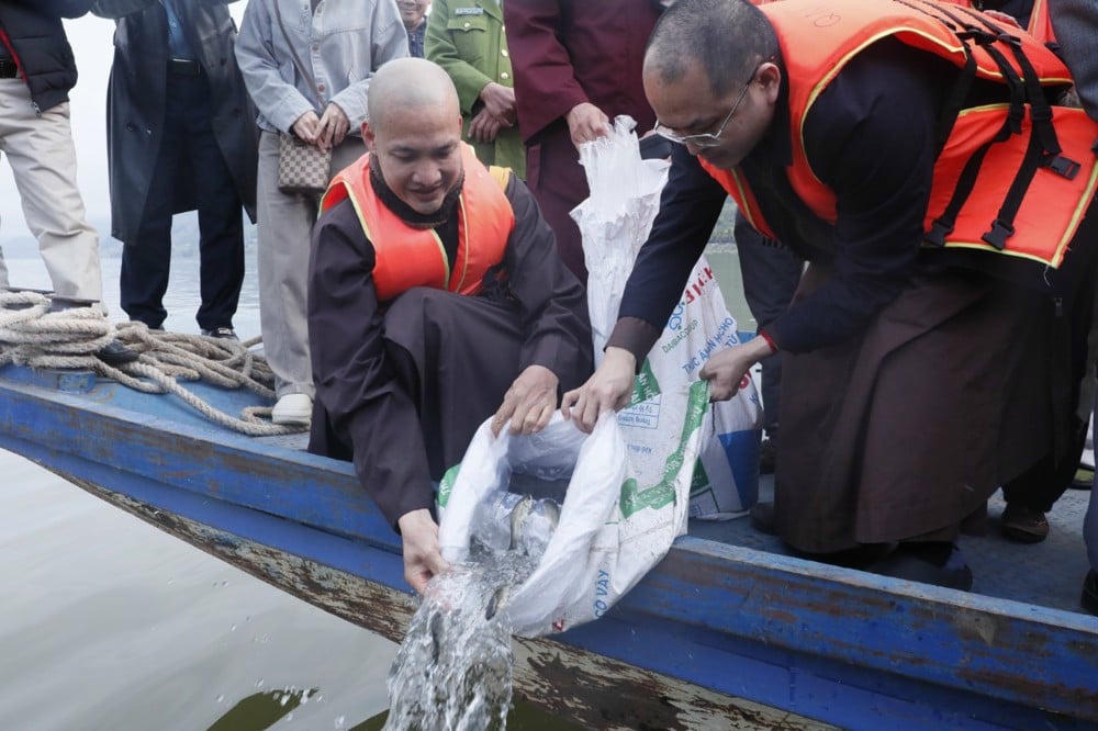 Thả c&aacute; ph&oacute;ng sinh t&aacute;i tạo nguồn lợi s&ocirc;ng Đ&agrave;