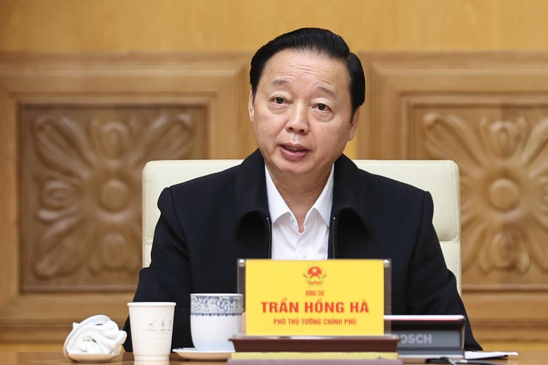 Ph&oacute; Thủ tướng Ch&iacute;nh phủ Trần Hồng H&agrave; ph&aacute;t biểu - Ảnh: VGP/Nhật Bắc