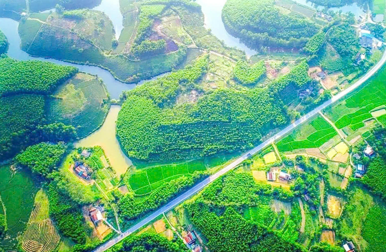 V&ugrave;ng đảo Ch&egrave; - Cầu Cau nằm s&aacute;t đường m&ograve;n Hồ Ch&iacute; Minh. Ảnh: CSCC