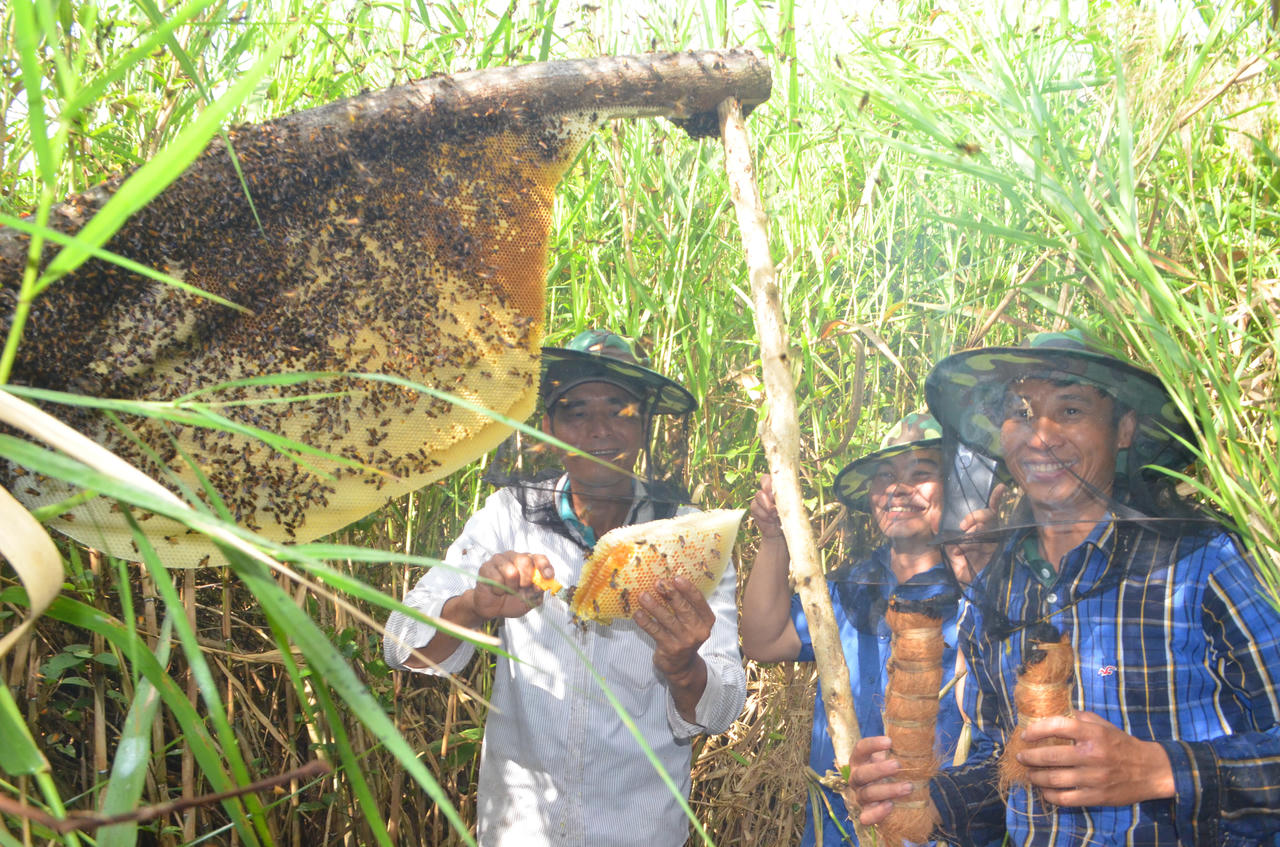 Rừng U Minh Hạ – hương mật, vị đất địa đầu cực Nam Tổ quốc