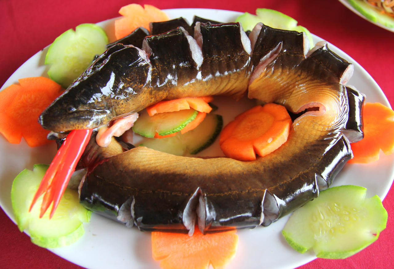 Rừng U Minh Hạ – hương mật, vị đất địa đầu cực Nam Tổ quốc