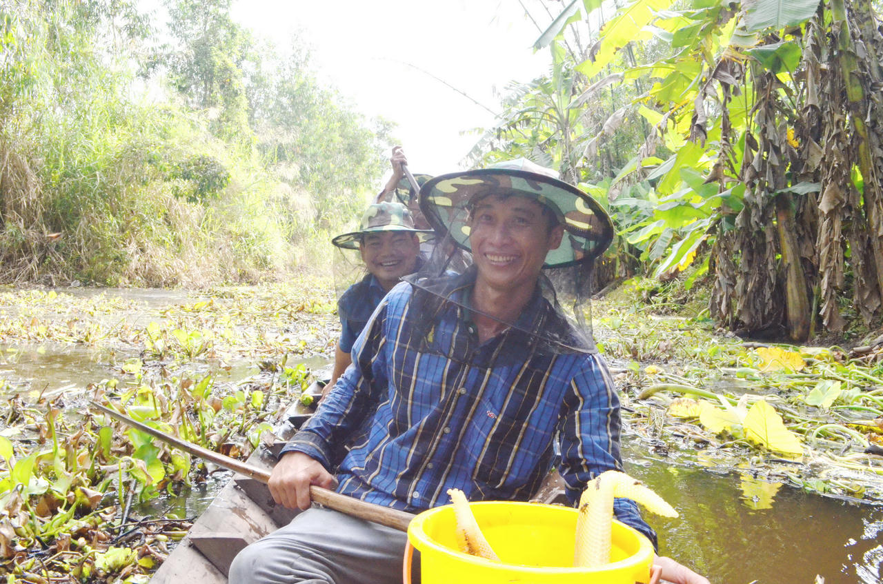 Rừng U Minh Hạ – hương mật, vị đất địa đầu cực Nam Tổ quốc