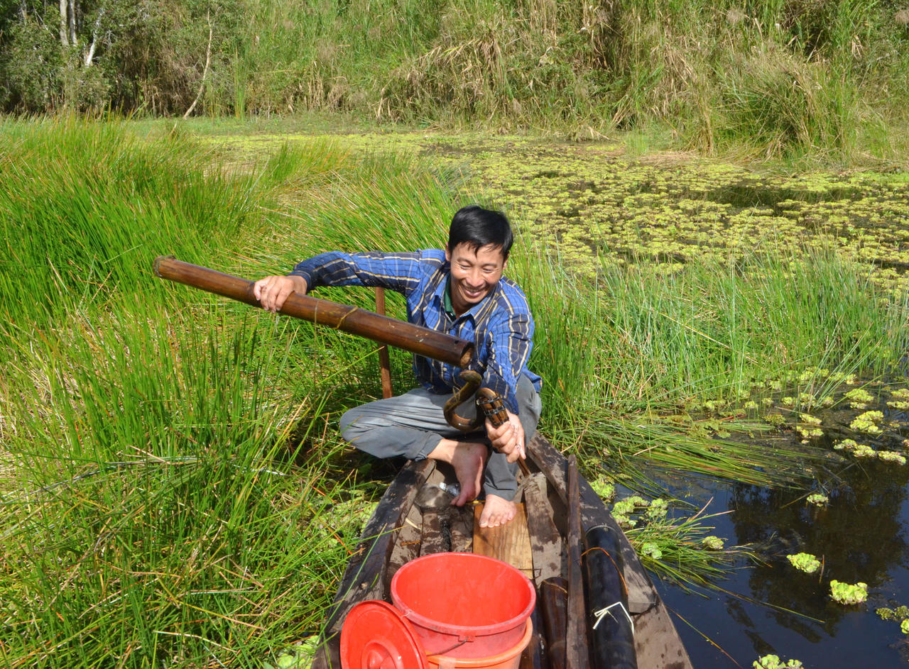 Rừng U Minh Hạ – hương mật, vị đất địa đầu cực Nam Tổ quốc