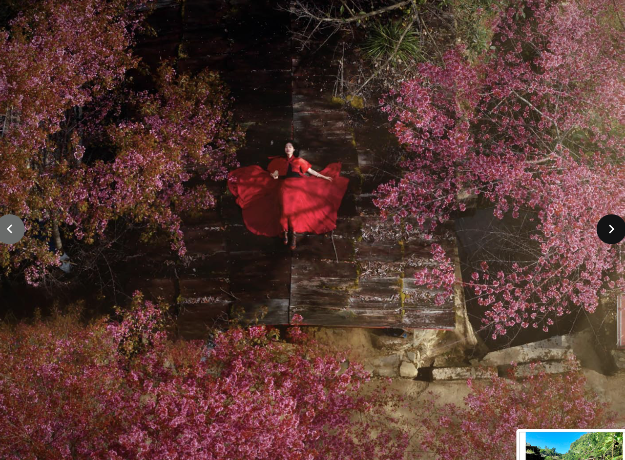 Hẹn mùa hoa xuân trên những rẻo cao miền Bắc