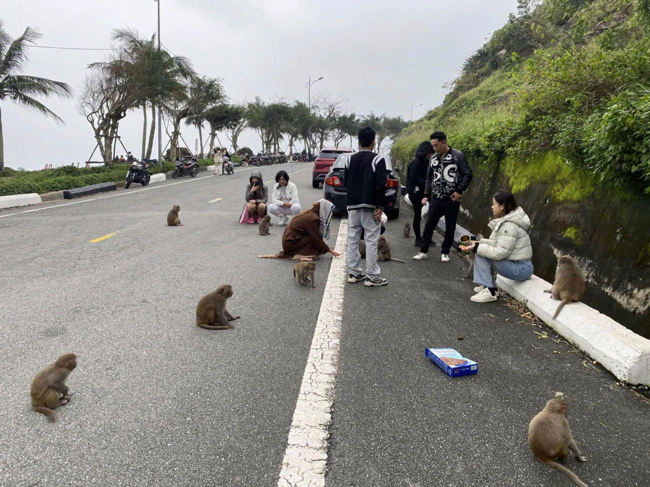 Du khách cho động vật hoang dã ăn tại khu du lịch: Đi ngược với nguyên tắc bảo tồn